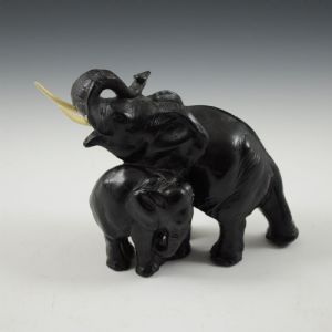 Elephant Maternity